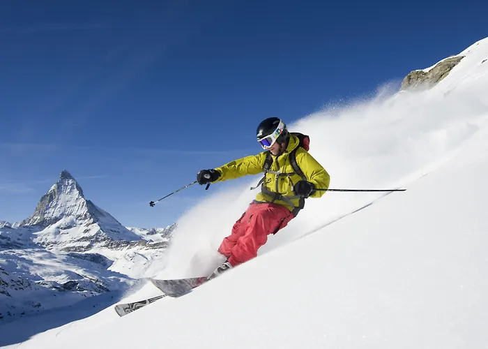 アリステラ スイスフレア