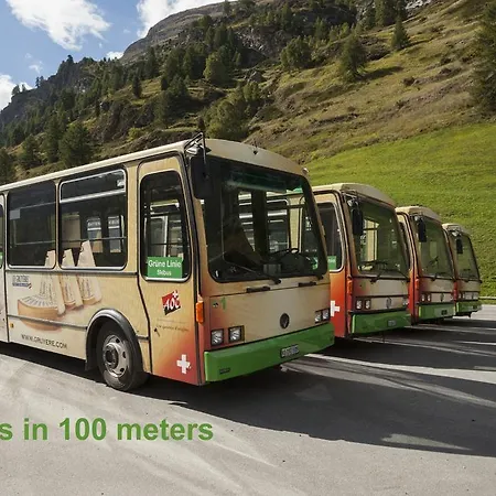 Aristella Swissflair 4* Церматт