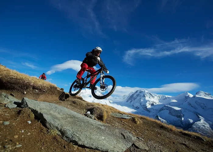 아리스텔라 스위스플레어 체르마트